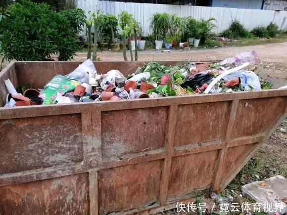 垃圾桶里一堆“贵货”花,丢人也要捡,带回家就开花