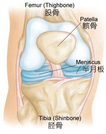 瑜伽|膝盖寿命有限,一定要学会在瑜伽及日常生活中保护膝盖