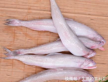 捕捞|市场上这6种鱼放心购买，都是人工捕捞的野生海鱼，营养口感极佳