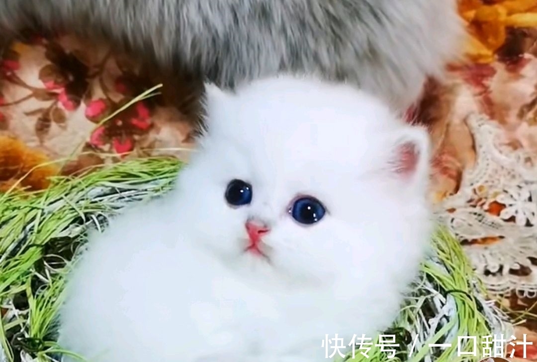 白居易@白居易冬夜偶得一首小诗,成为永久经典《夜雪》