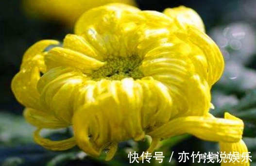 月经|女人来月经时，多吃的食物，排出毒素，补血益气，保护子宫