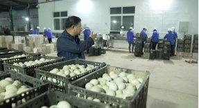 陈凤娟|一边直播一边唱歌 60老汉一年卖鸭蛋上亿元