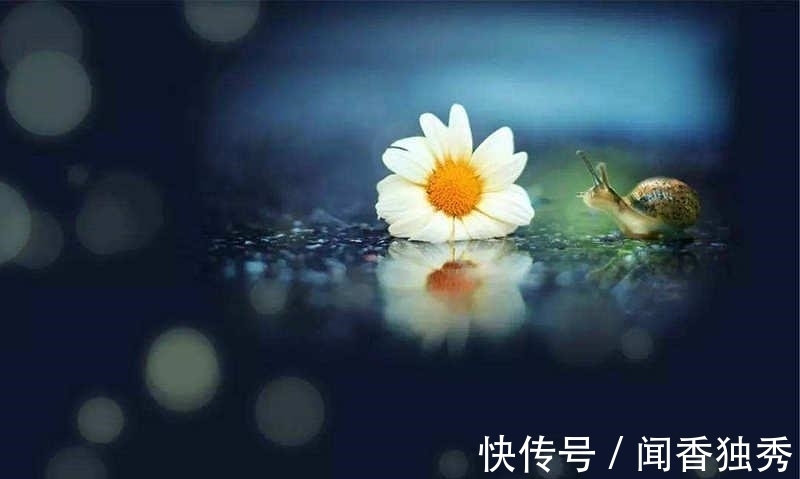 下半句$“举头三尺有神明”,老祖宗处世智慧,下半句更加经典