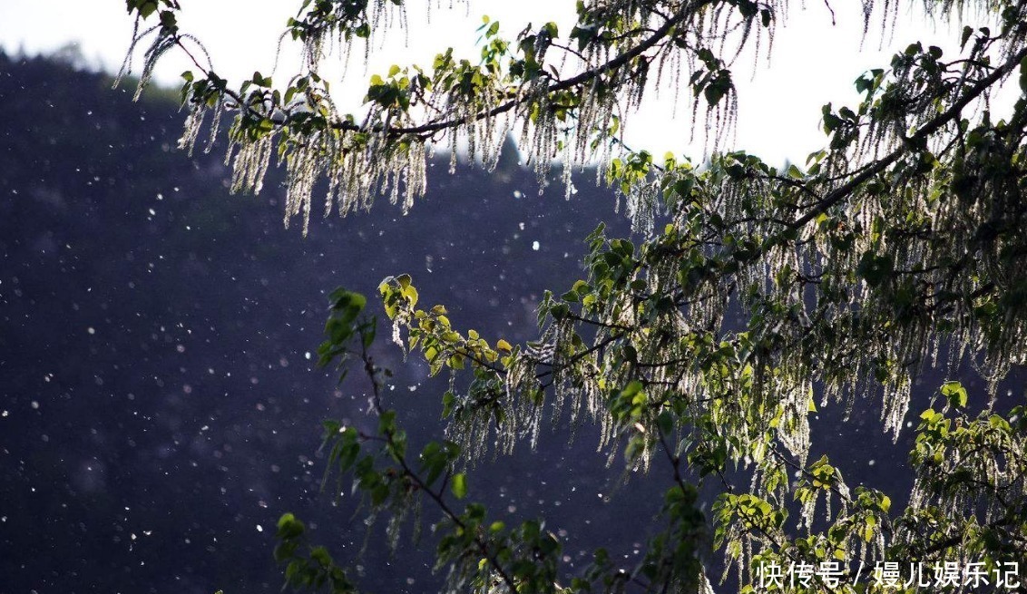 焰里寒冰结@和尚烧火时悟出首禅诗,短短20个字无一生僻,却令人百思不得其解