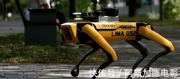 现代汽车|车企扎堆发布智能机器人 小鹏小米特斯拉谁才是“头号玩家”