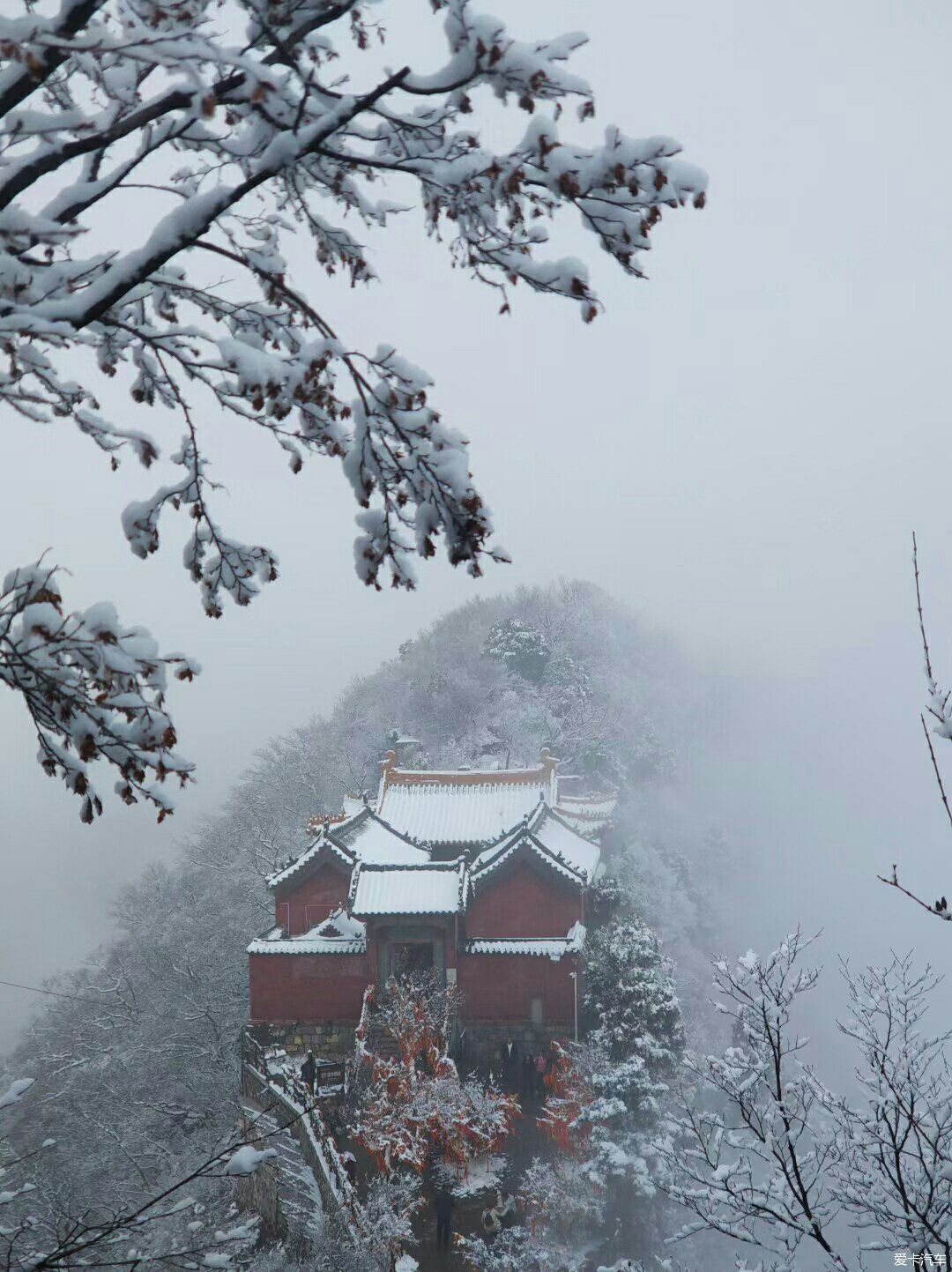 冬天的精灵————雪