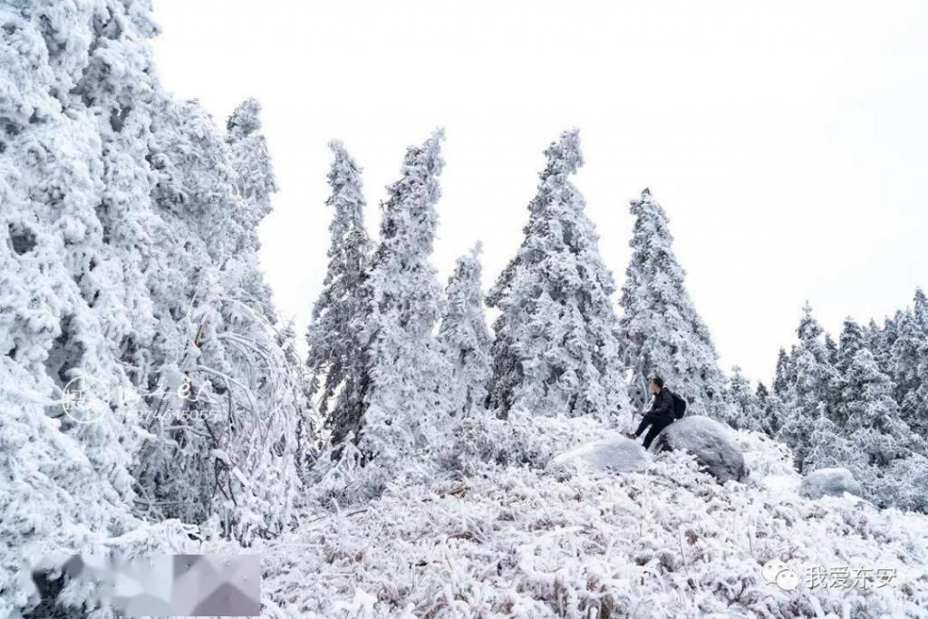 雪景|在往年的雪景视频中期待2020年东安的第一场雪