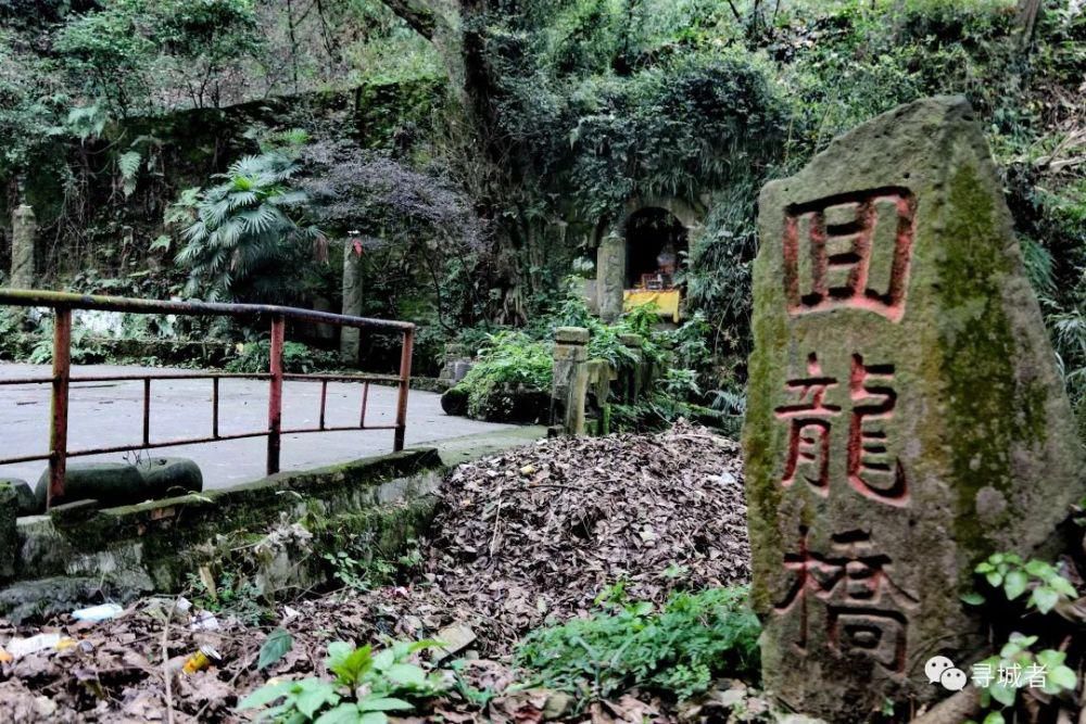 更喜南山千倾野，卅公里后尽开颜