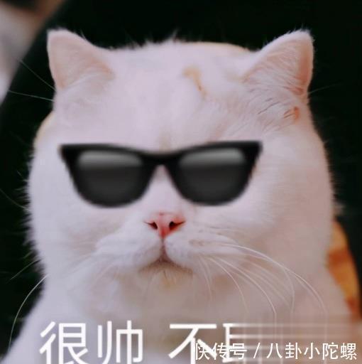 手游|《万国觉醒》登顶带给我们的警示：或许是时候考虑转型了
