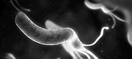 蜂蜜|幽门螺旋杆菌的“克星”终于被找到了,坚持吃胃炎,胃溃疡远离你