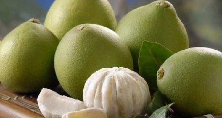 健康长寿|真正可以养肝护肝的中药，其实是3种！肝不好的人可别再错过了