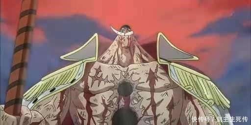 白胡子|海贼王 死得最惨的五位角色, 一人被肢解, 一人死于猪队友