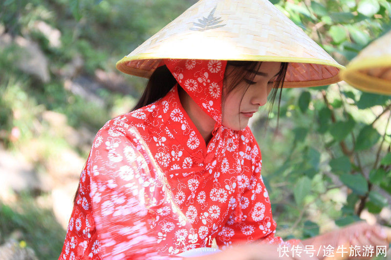 玻璃桥|落日余晖，一颦一笑染尽迷人秋色，遇见古老神秘之国—沂蒙山