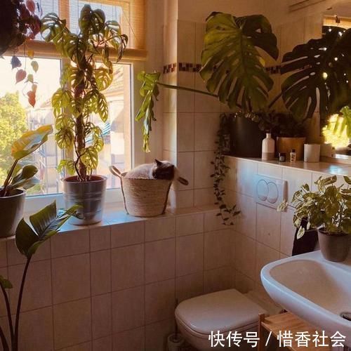 小猫咪|德国夫妇的家，女主人把家布置复古又舒适，很有老电影里的味道！