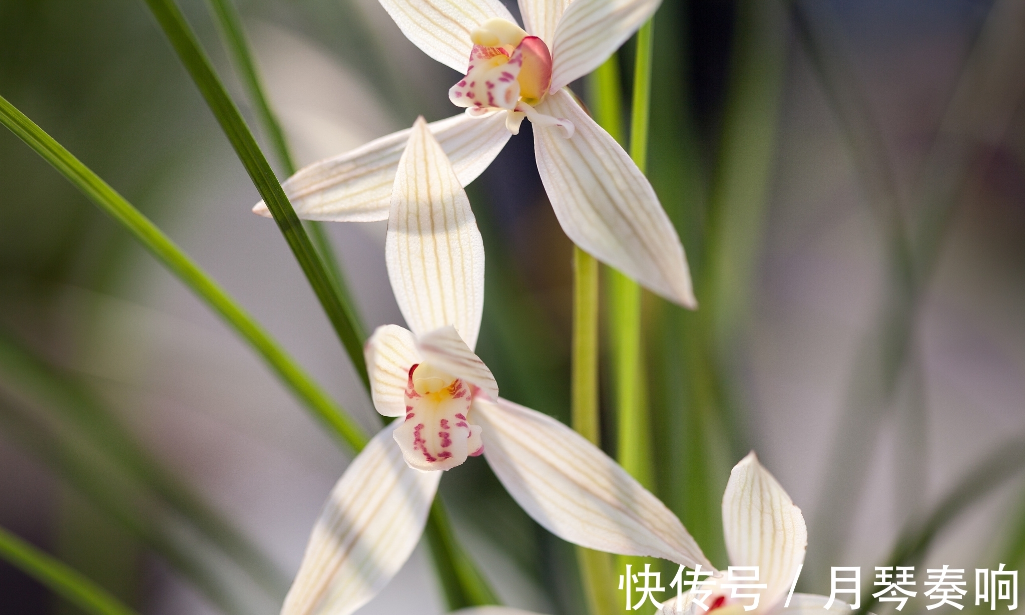 退士!盛唐最后一位贤相被贬后写下一首诗,成为《唐诗三百首》开卷之作