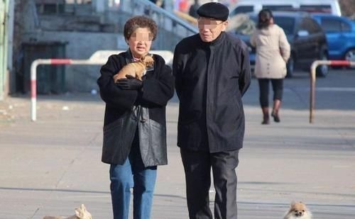 健康长寿|70岁的老年人每天走多少步合适?每天做好3件事,身体更健康长寿