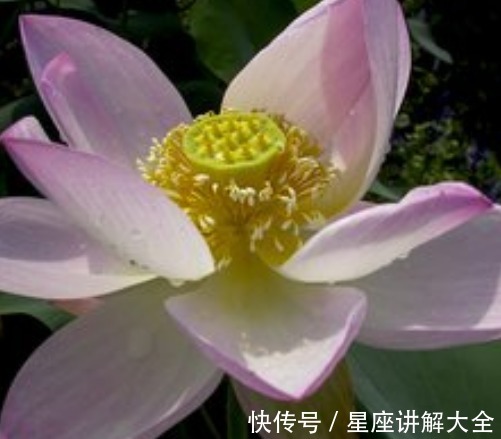 吉星|未来7天，吉星照耀，4属相贵人相助，财源滚滚，日子红红火火