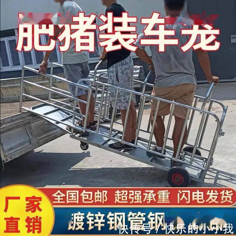 淘宝|这届淘宝怎么还是这么沙雕啊哈哈哈哈哈哈哈哈