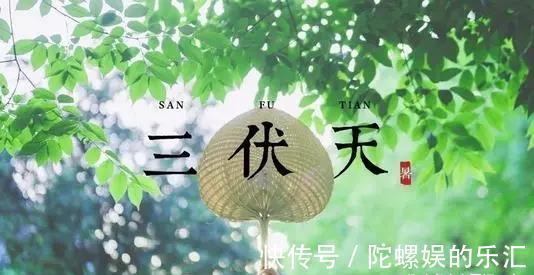 中伏|头伏、中伏、末伏哪个伏最热,究竟是为什么呢?看完后,长知识了