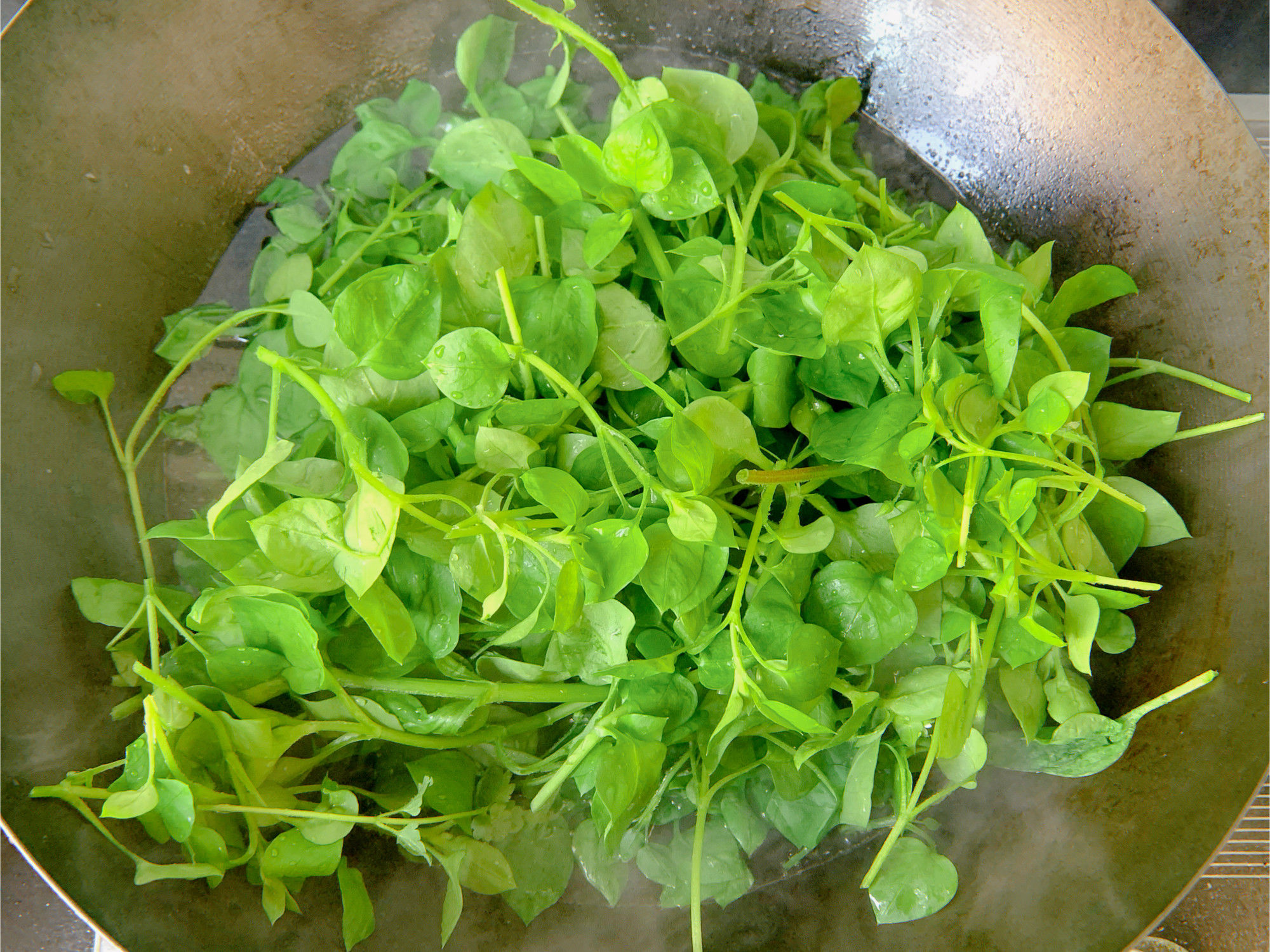 农村地里常见的一种野菜，新鲜翠绿，和鸡蛋炒一炒，营养又美味！