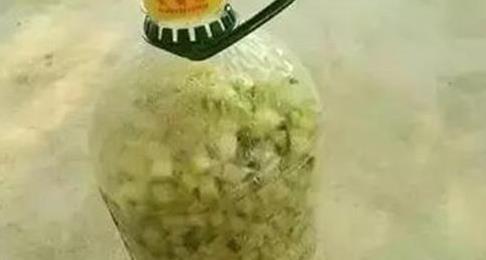 养花|夏天就要吃西瓜,可吃剩的西瓜皮不要扔,用来养花有奇效!