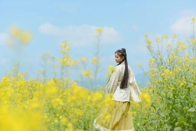 樱花树下，油菜花旁，篁岭春色与汉服古风撞个满怀！