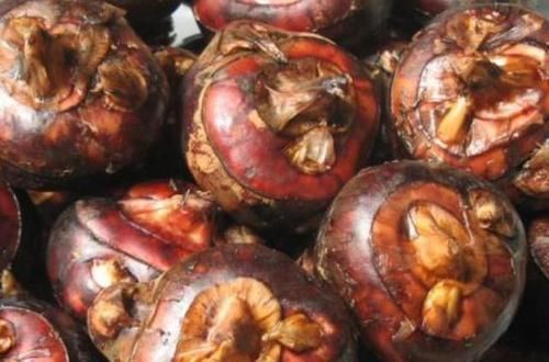 怀孕|怀孕期间,孕妇最好少吃4种食物,对胎儿不利、或引流产