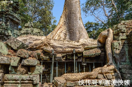 景点|柬埔寨最大高棉古寺，荒废遗迹被“蟒蛇树根”缠绕，今成热门景点