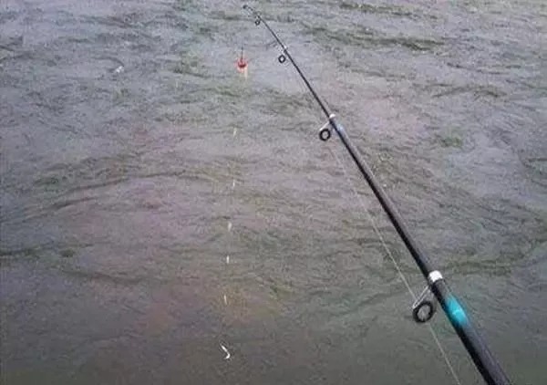 天冷去哪能钓到鱼？只要学会这1招，再冷的天你也能钓到鱼！