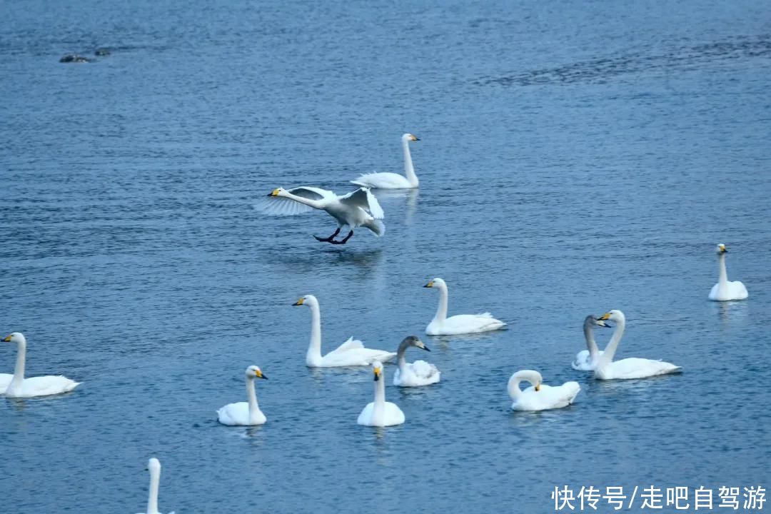 1月最佳旅行地，藏着你没见过的绝色中国，2021的第一份清单