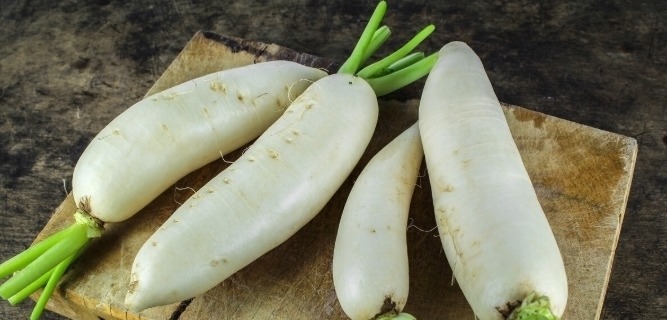 白萝卜好不好,看这“4点”就知道,汁水足不糠心,一挑一个准