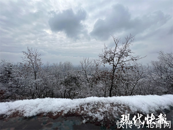 紫金山顶|雪没爽约！南京紫金山顶一夜披上冰雪“新装”
