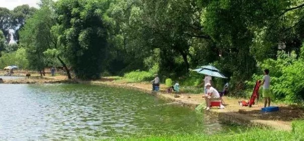 野钓调漂究竟调几钓几最合适？钓鱼高手这样调，从没有空军过！