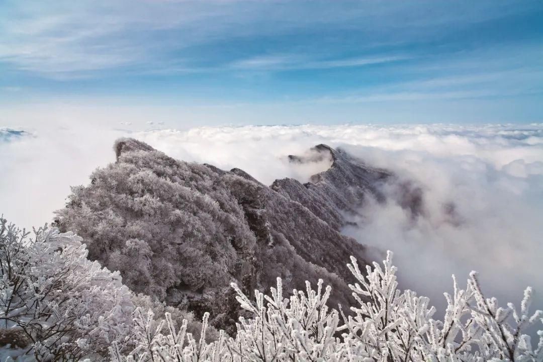 拍摄者|和丁真一样干净的还有光雾山的冰雪胜景