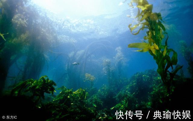 抗癌|15种能减少癌症发生的天然食物,日常多食用有助健康