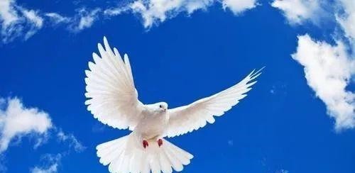  发行|备受期待的抗美援朝70周年纪念邮票