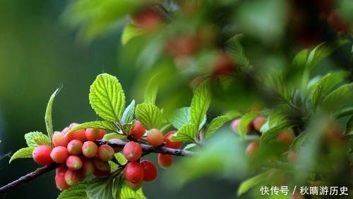  厉害|真正厉害的人，都有这样一个特质，值得大家学习