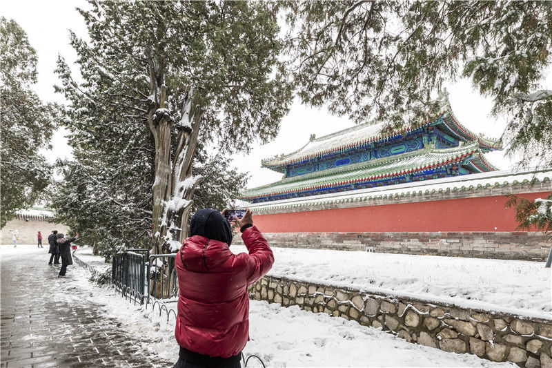 谢松信|雪后天坛美景