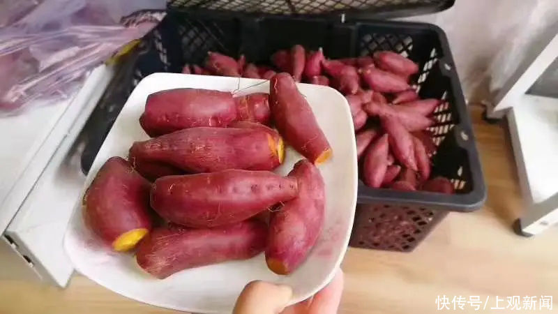 金山|金山人,这个冬天,冰淇淋与烤红薯可兼得