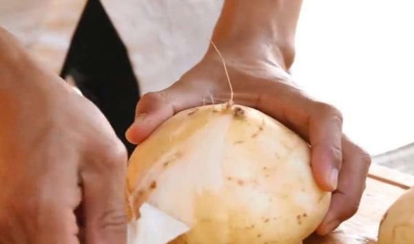 种子含毒根却被人广泛食用，南方人当水果吃，北方人当蔬菜