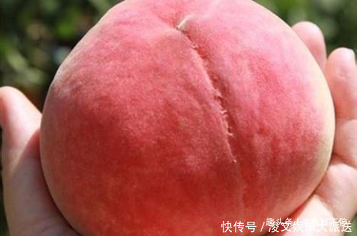 桃子|买桃子就要挑“公”的,香甜又多汁,教你5个小窍门,一挑一个准
