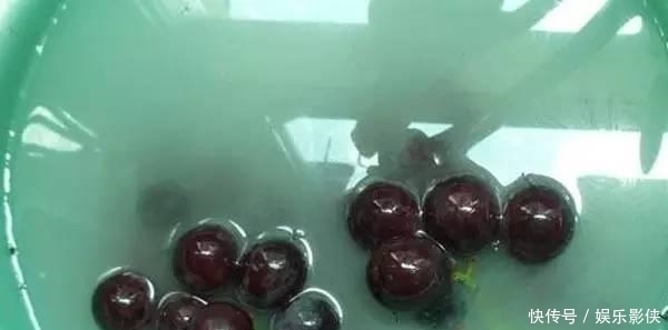 自酿|小妙招,教你在家如何自酿葡萄酒初级方法