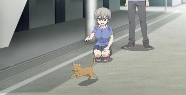 刀剑|七月新番评分榜，只播了一集的动漫拿下榜首，“刀剑”差点没上榜