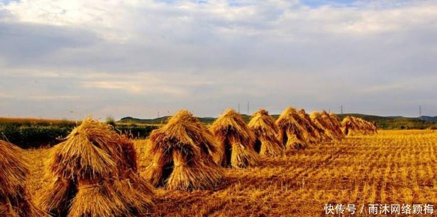 黄金时代#这个历史小人一手摧毁了中国的“黄金时代”,却被后人称颂几千年