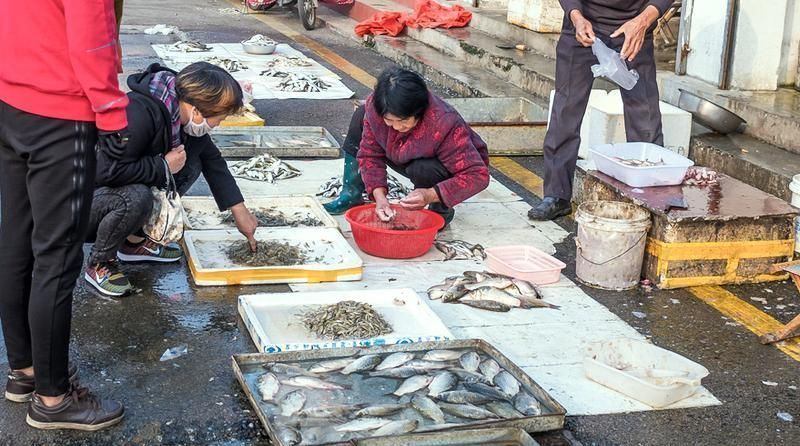 用它喂鸭子|5年长不到3厘米,常误认是河里小杂鱼,价值珍贵却少人知