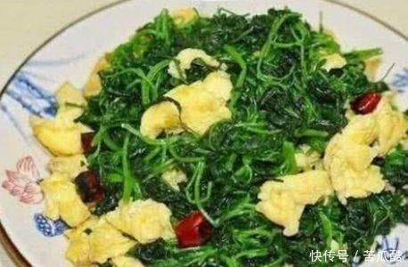 补充蛋白质|想长寿要会吃,推荐几种食物,降压减脂,排毒减肥,营养丰富