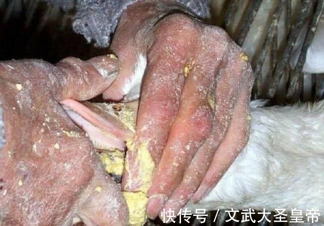 一日三餐|“有钱人”一日三餐都吃什么？看完背后，网友：给十万也不吃