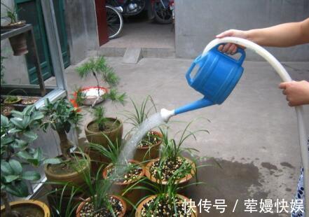 养花“养根”很重要，5个小妙招，白根粗壮，半年撑爆盆！