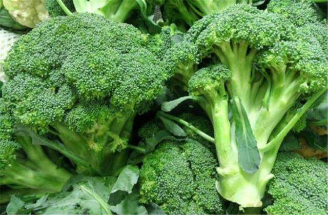 前列腺癌|西兰花可以抗癌,但与两种食物搭配,防癌效果加倍!快告诉家人!