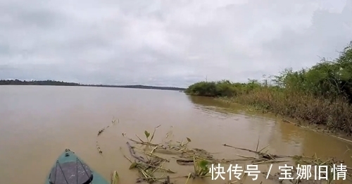 浑浊大河钓上一条黄黄的大鱼，是鲶鱼吗？能吃不？